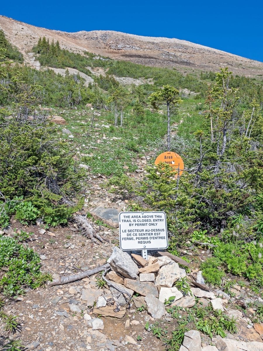 Burgess Shale Fossil Hike