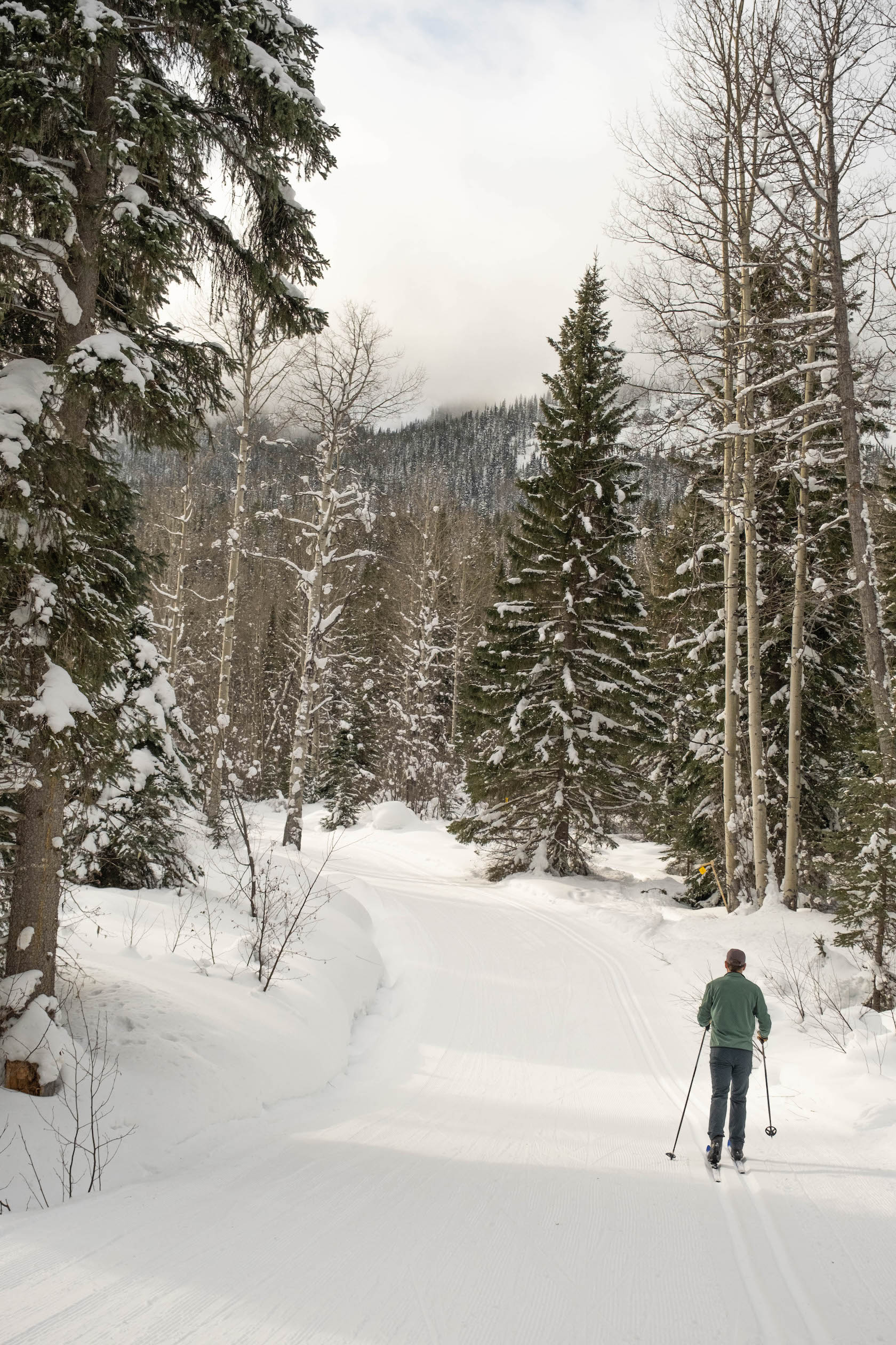 cross country skiing near Kicking Horse Mountain Resort in Golden BC