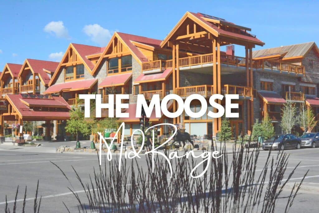 the moose