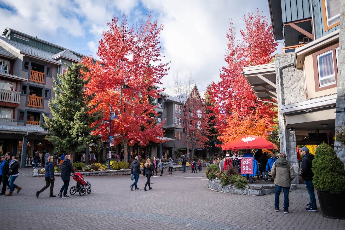 whistler in the fall