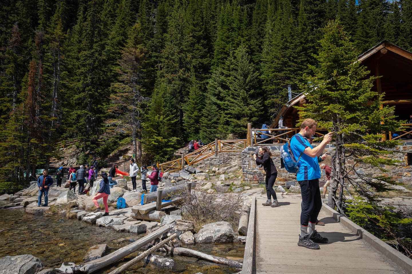 Lake Agnes Teahouse in summer - busy!