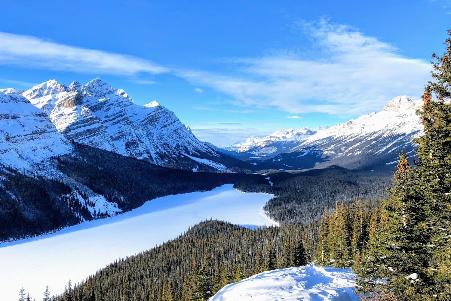 peyto lake winter