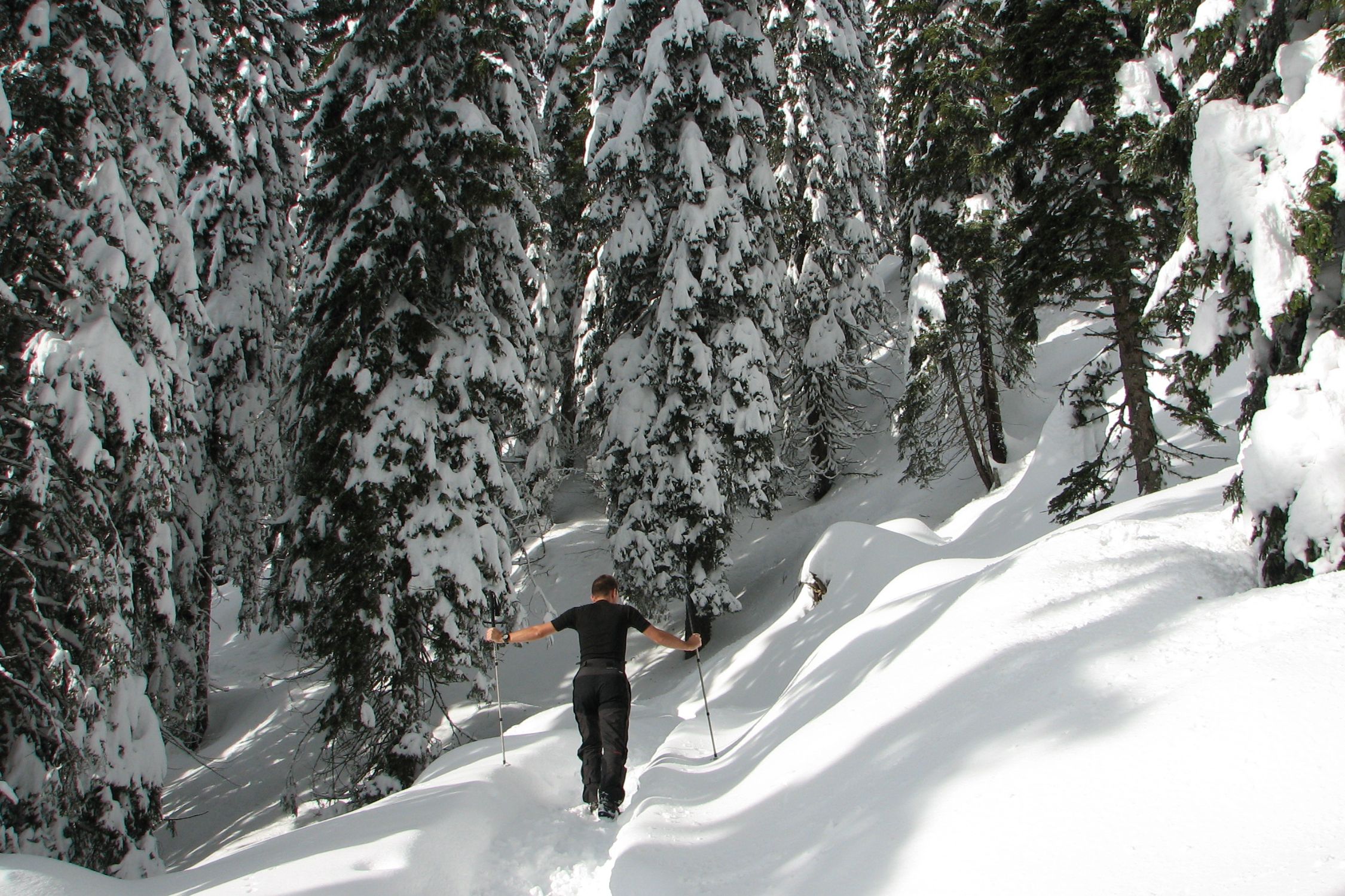 snowshoeing