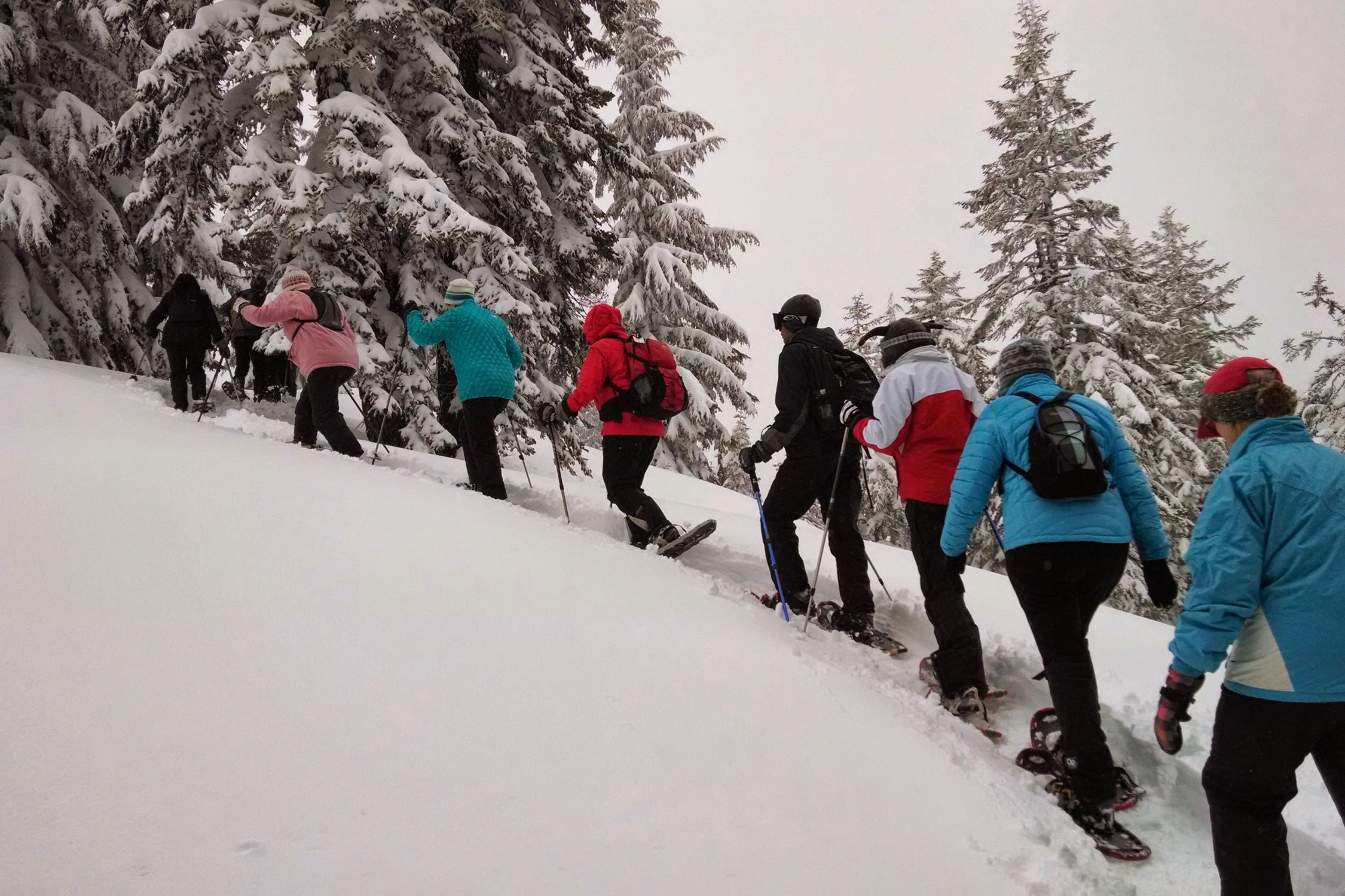 banff snowshoeing