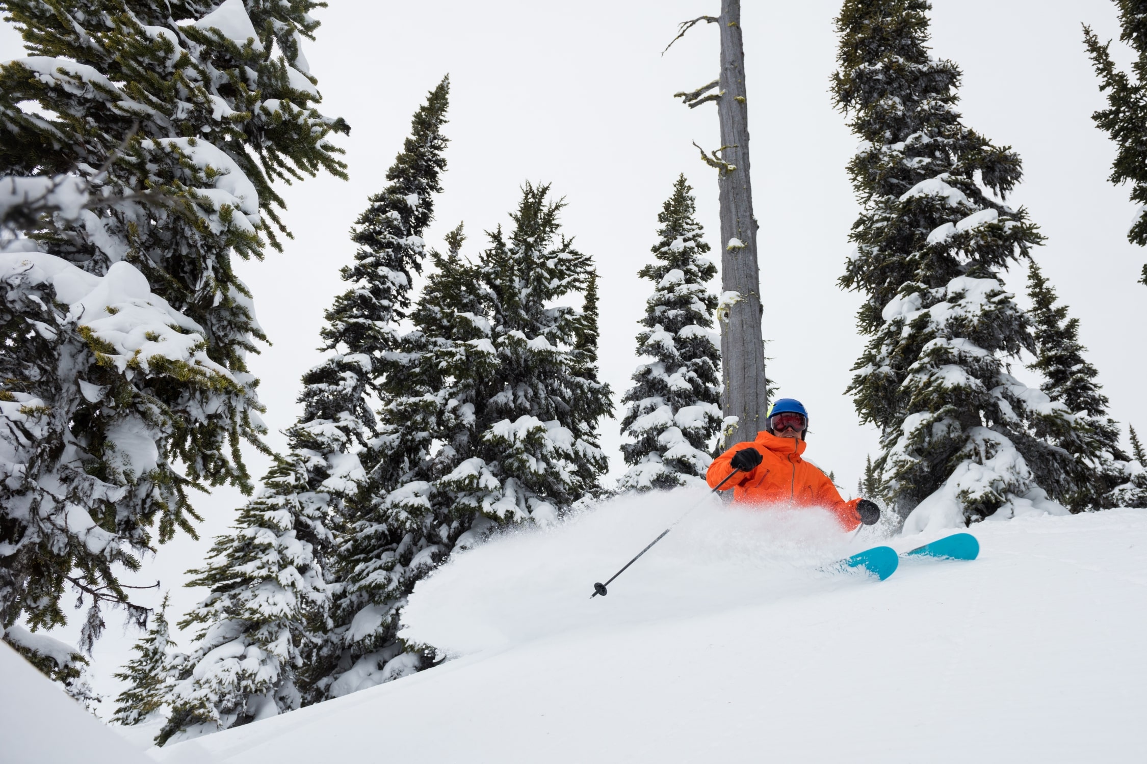 Tree Skiing Canada