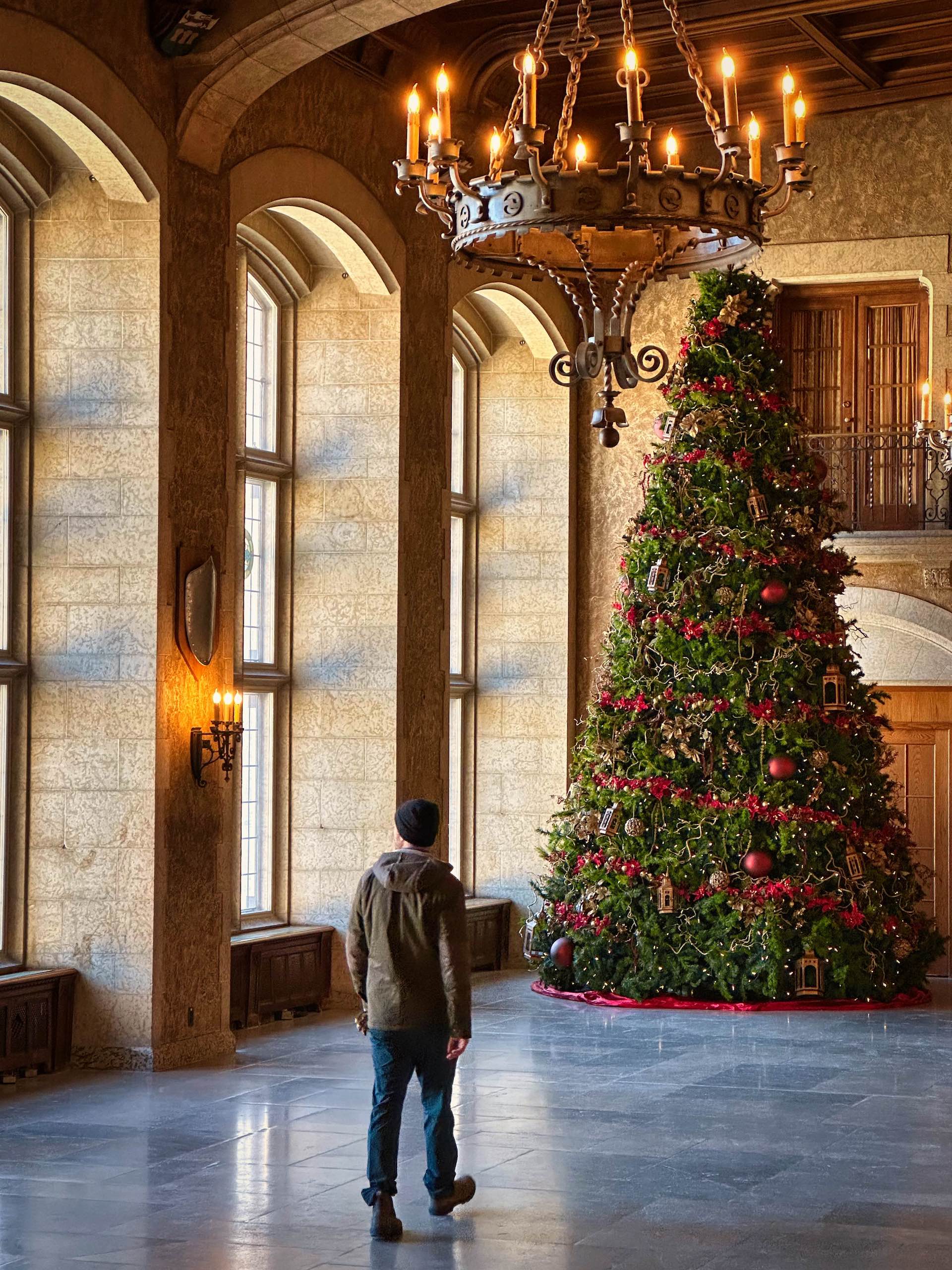 christmas at the castle - banff springs hotel