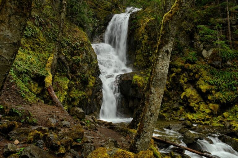 23 BEAUTIFUL Waterfalls in British Columbia To Visit