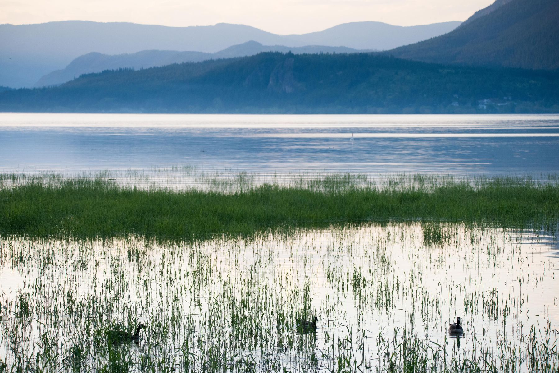 Shuswap Lake