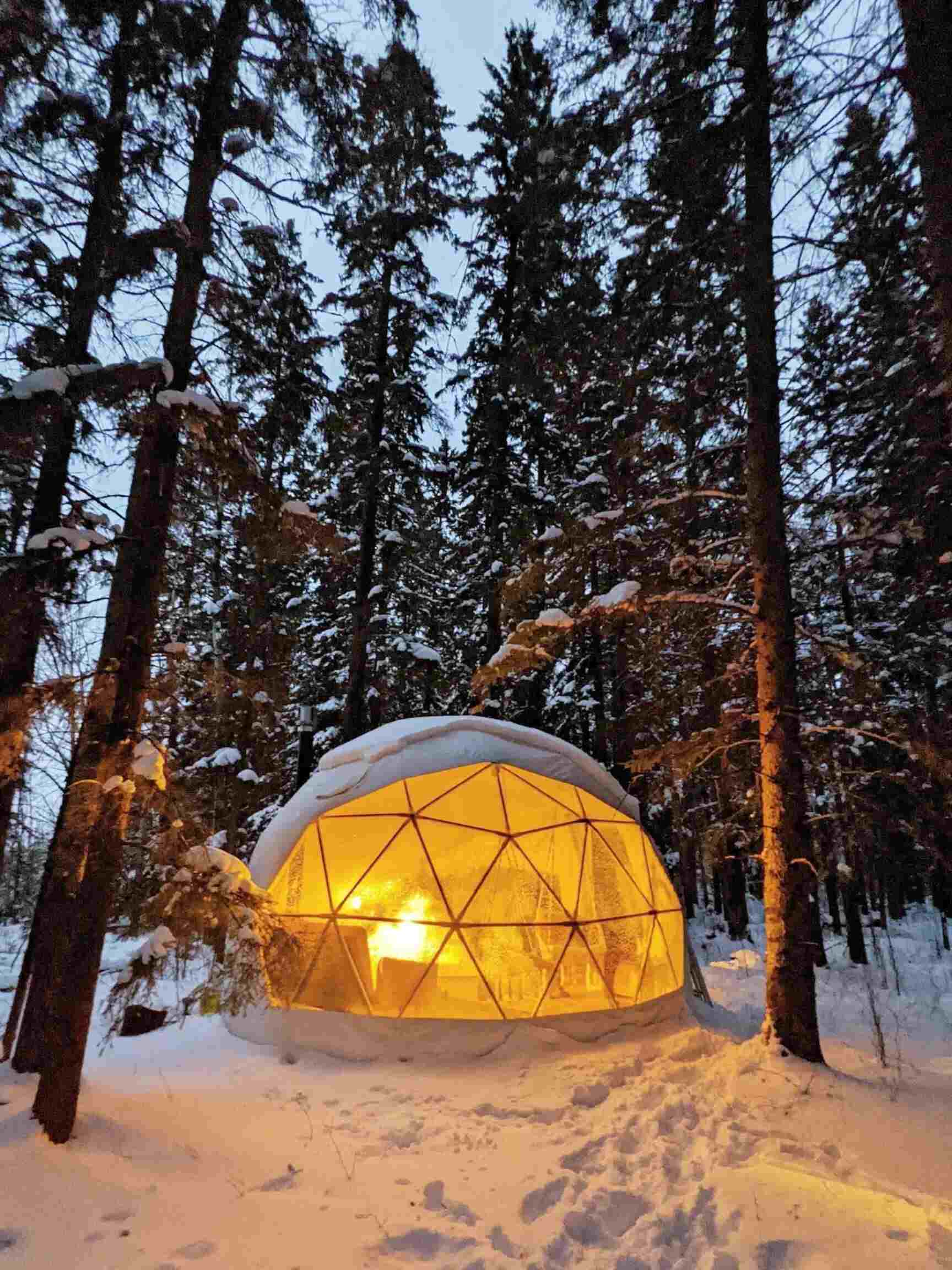 Boreal Forest Geodome