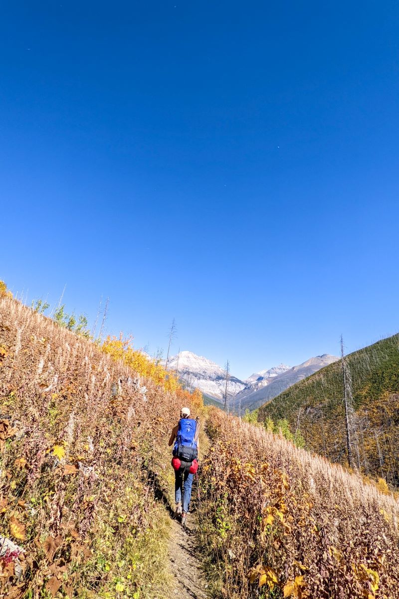 hiking Floe lake trail in fall