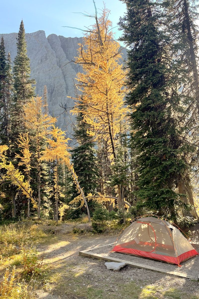 Tent at the Floe Lake campground