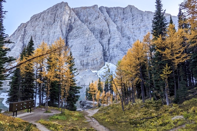 Floe lake campground and facilities near the lakeshore