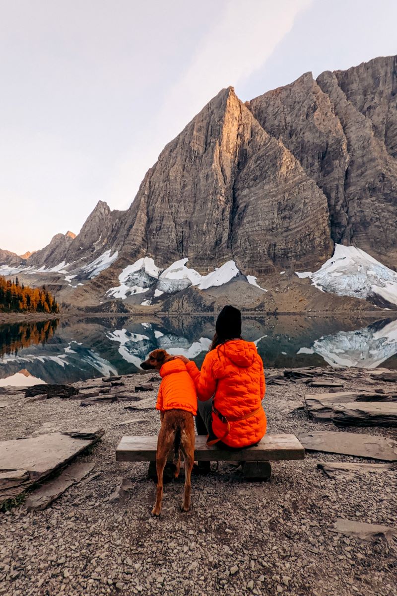 camper with dog at Floe Lake at sunset