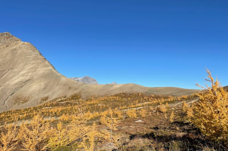 approaching Numa Pass in larch season