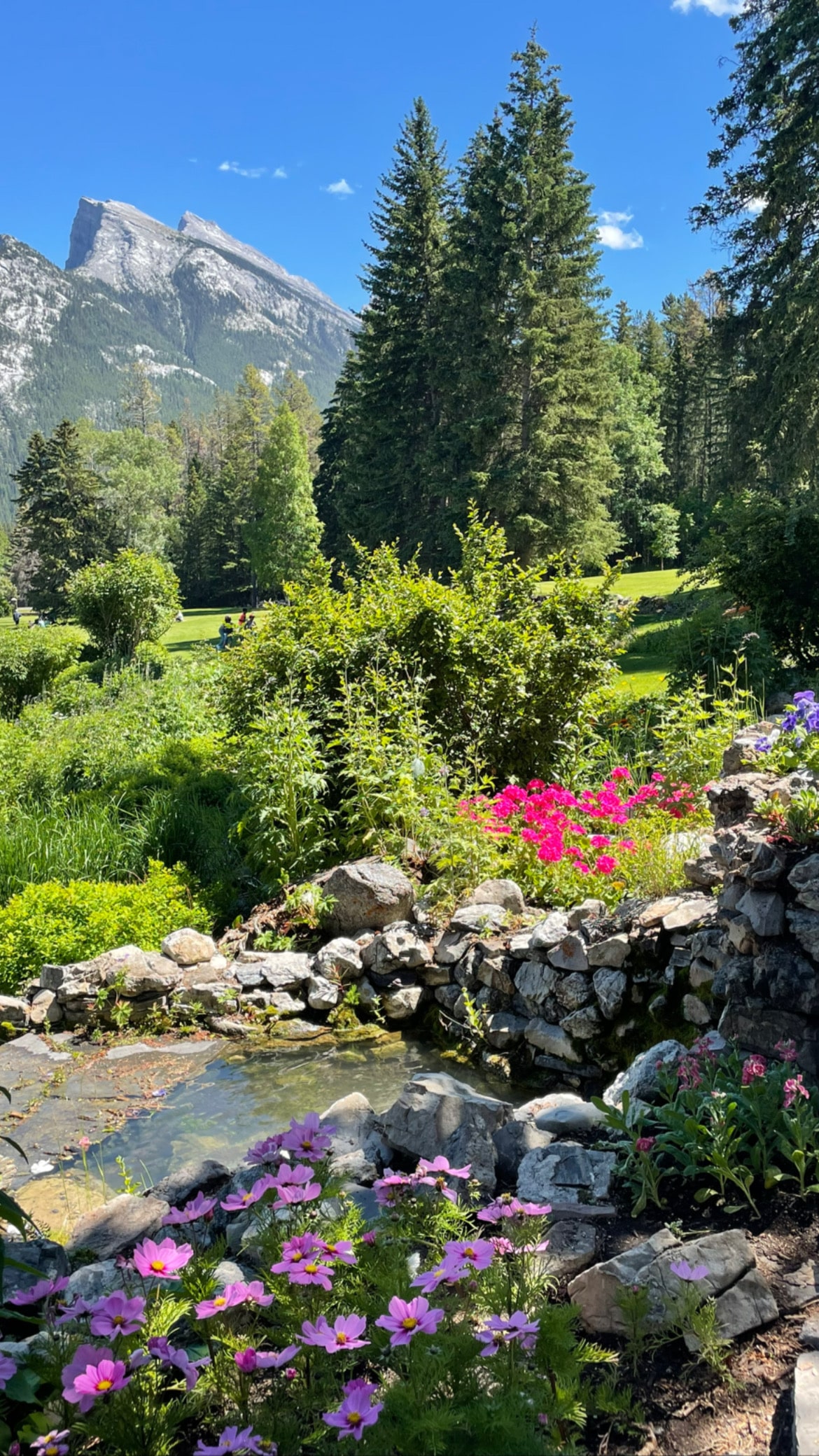 Small Pond And Meadow Cascade Gardens