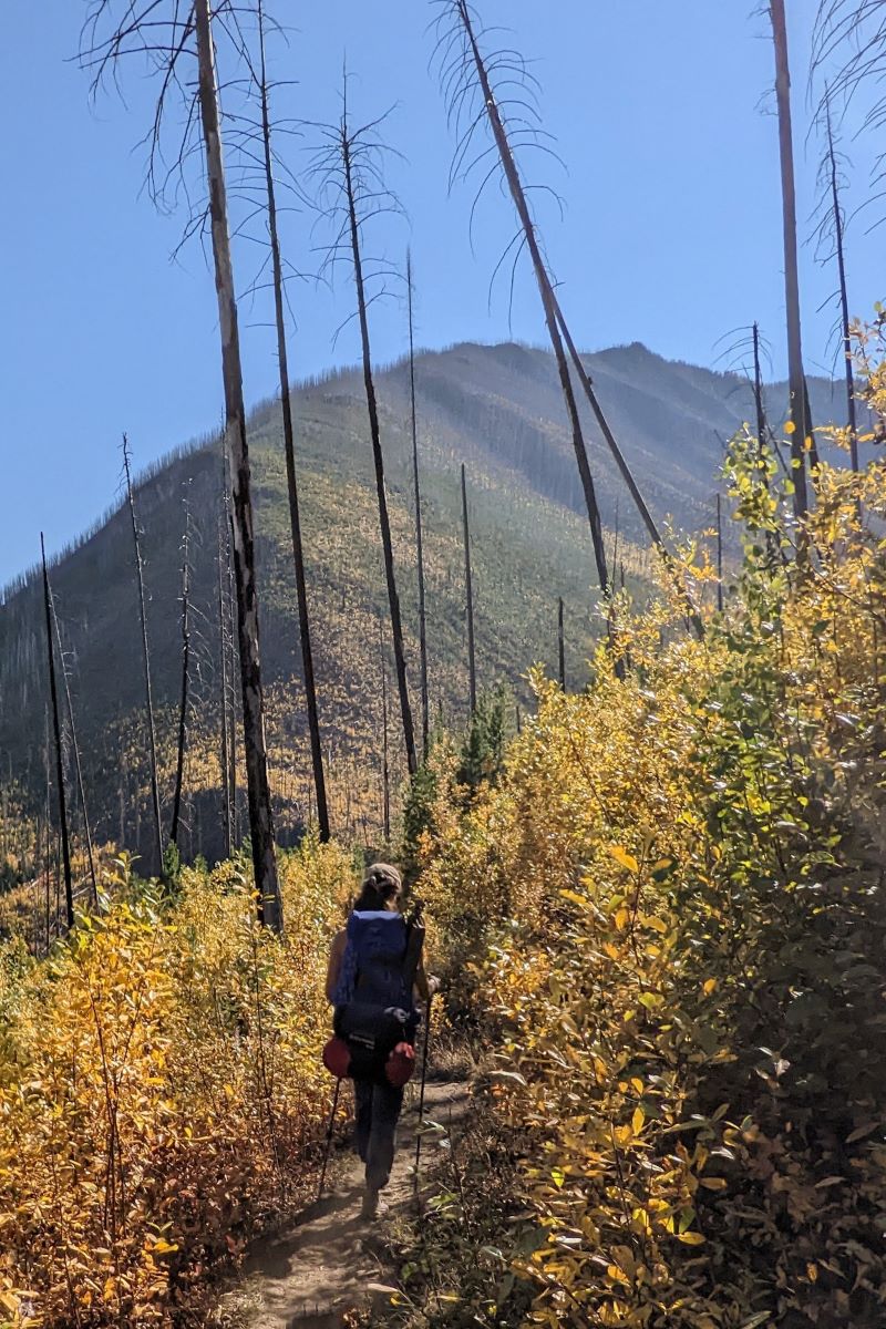 hiking along the Floe Lake trail in fall