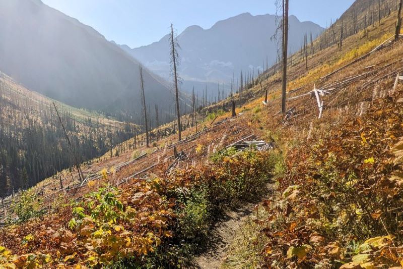 Floe lake trail in the fall with Floe Peak in the background