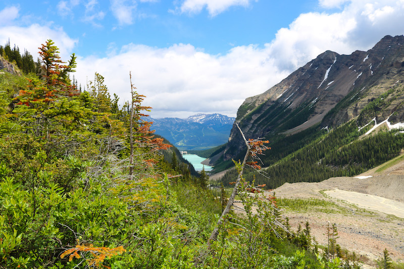 lake louise from plain of six glaciers