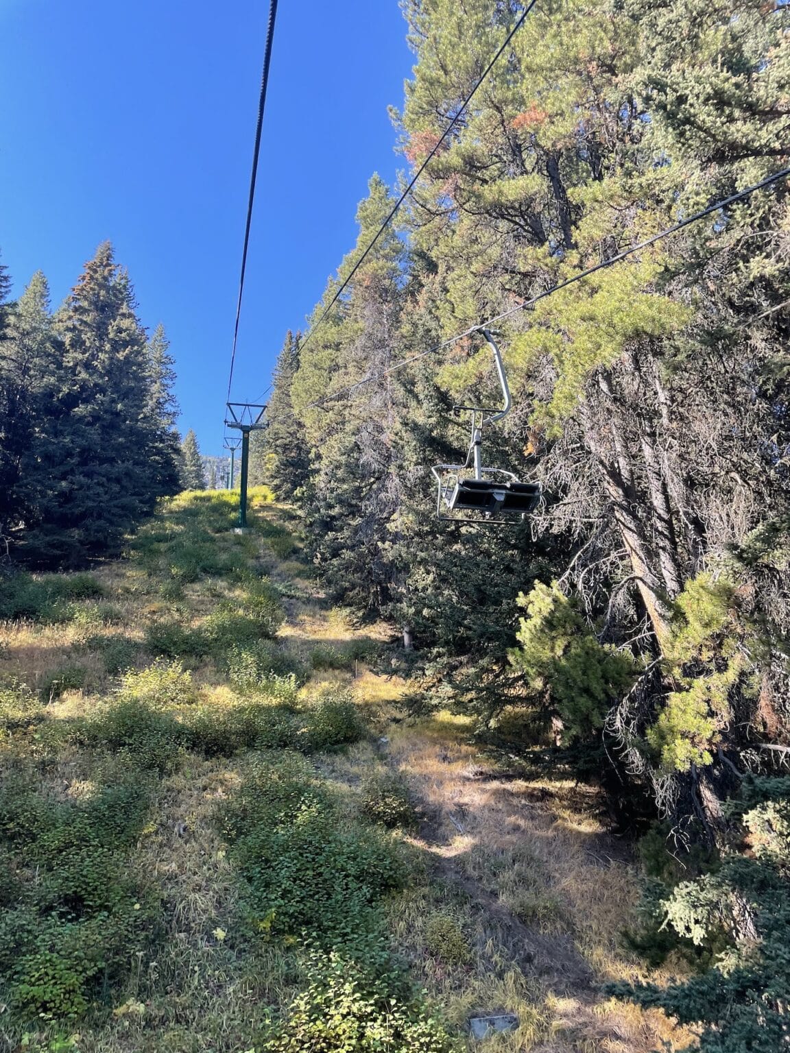 What To Know About the Mount Norquay Summer Chairlift