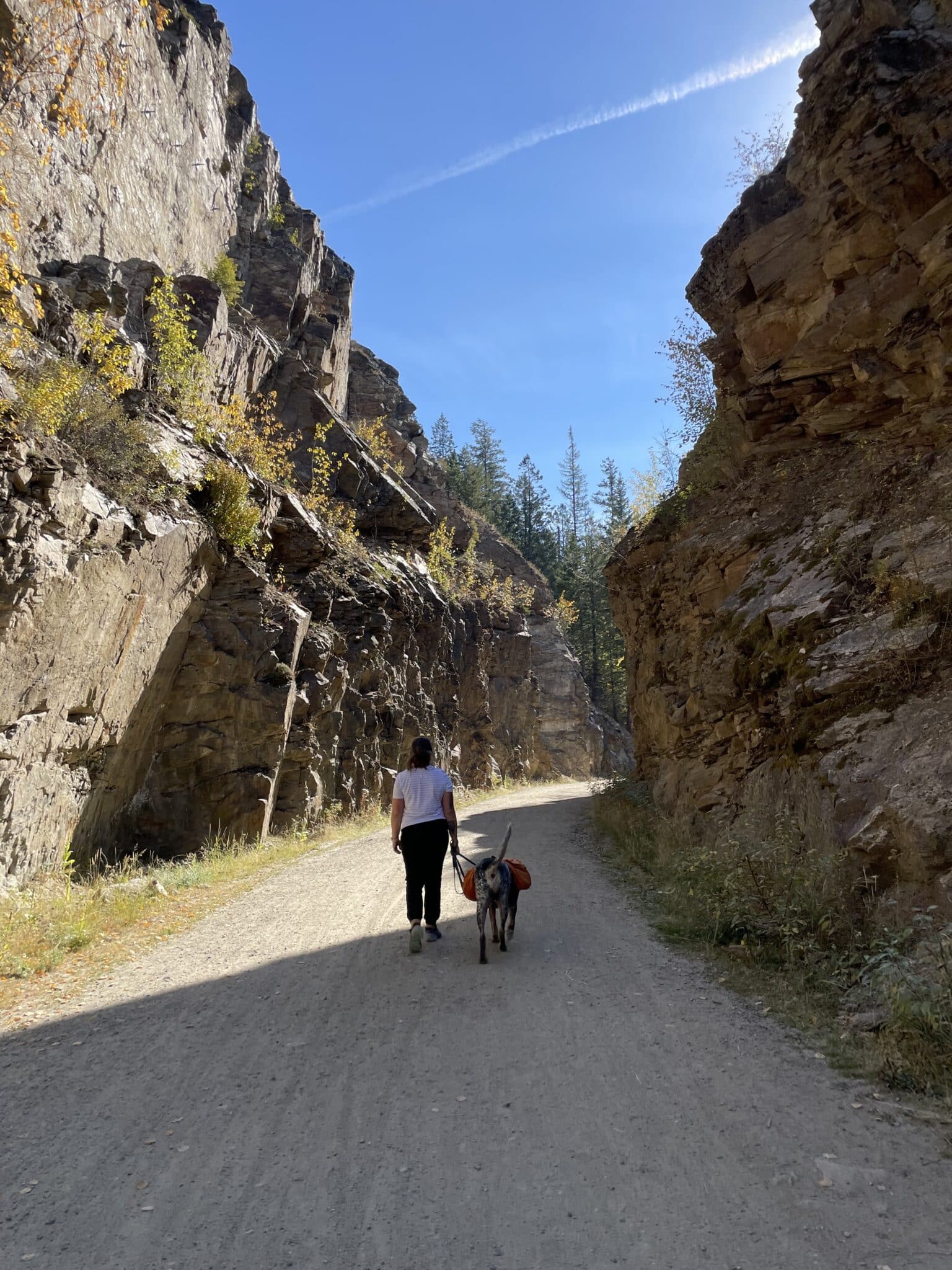 Myra Canyon Trestles (Kelowna) All You NEED To Know Before Visiting