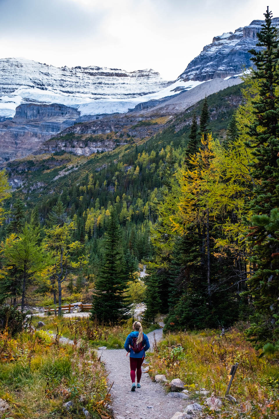 The Plain of Six Glaciers Teahouse