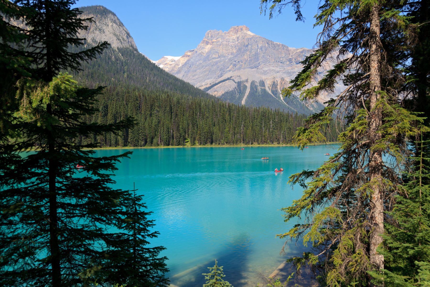 A Landscape Of Emerald Lake With Canoes