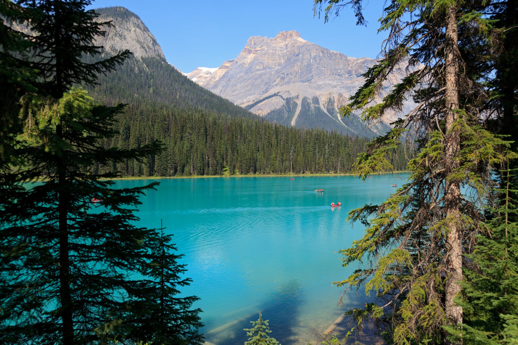 Canoes On Emerald Lake