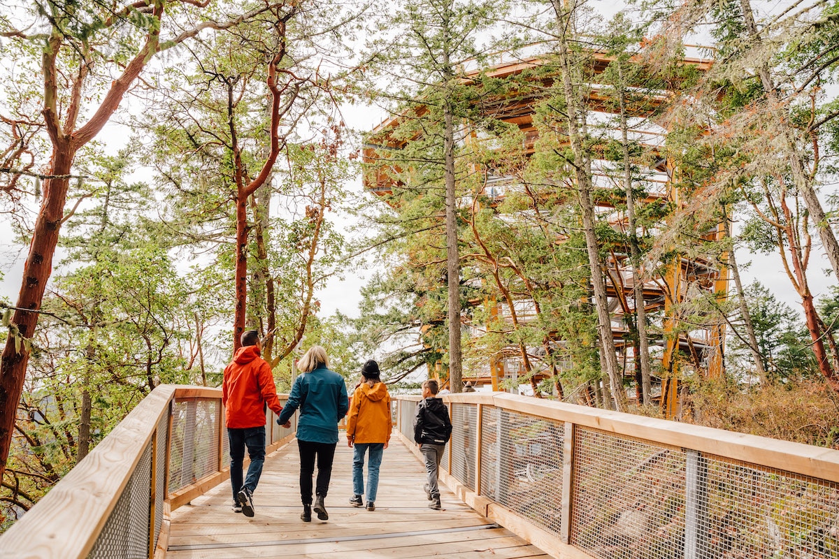 Malahat Skywalk (Best Places to Visit in BC)