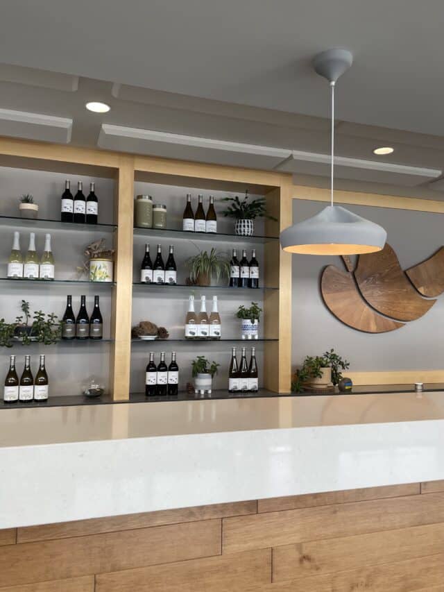 10 BEST Kelowna Wineries You Don't Want to Miss (BC)