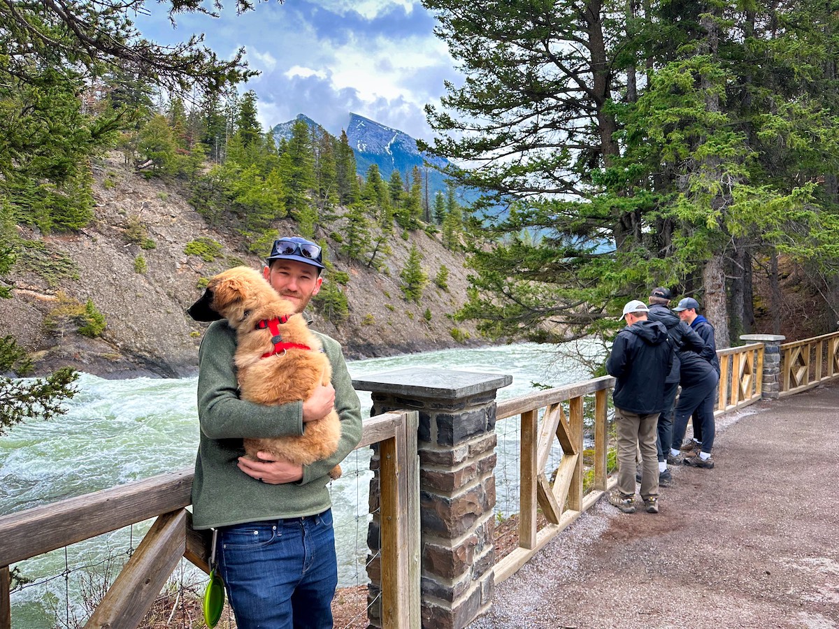 Bow falls in May