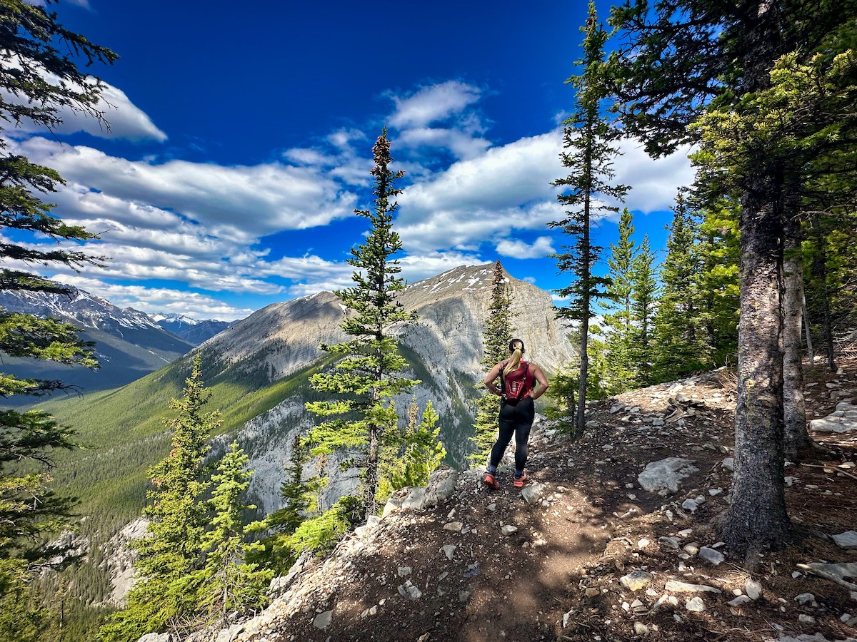 Looking out towards EEOR on the Ha Ling Trail