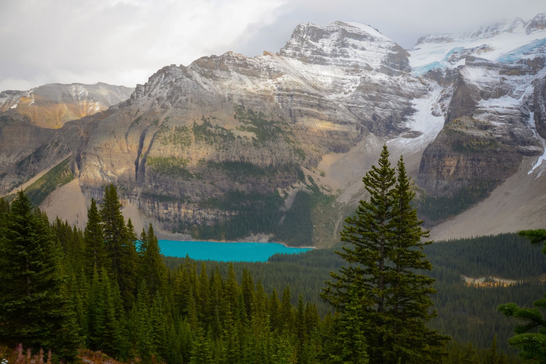 Moraine Lake From the Eiffel Lake Trail