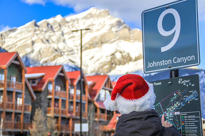 Consulting transit information at Roam stop in Banff