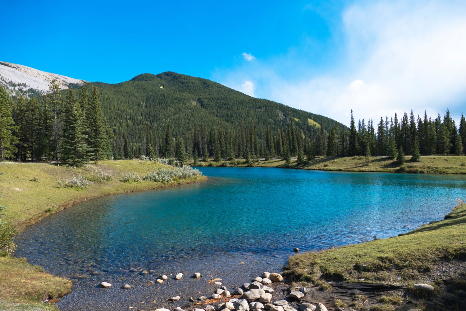 Bragg Creek