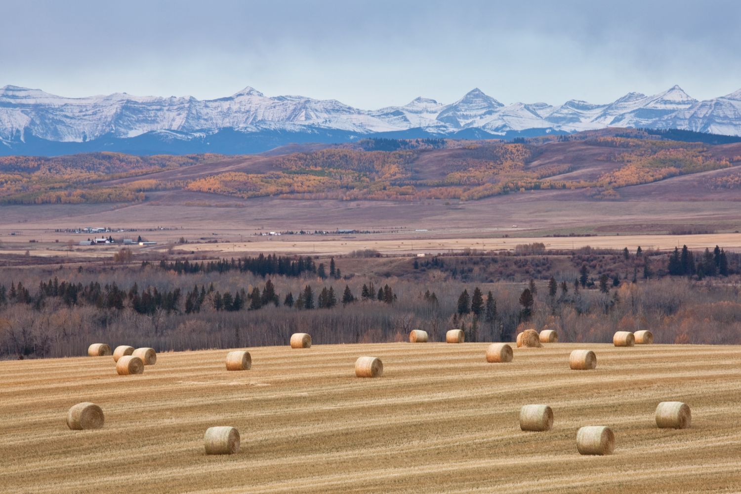 24 BEST Small Towns in Alberta