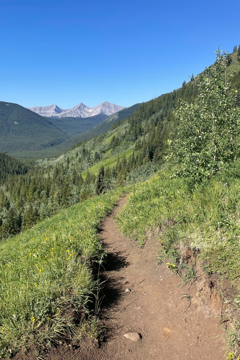 Trail to Picklejar Lakes with view back towards the mountains of the Continental Divide