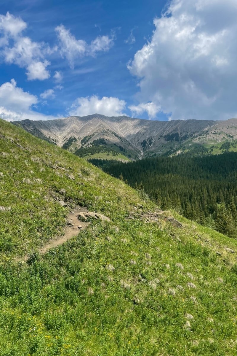 Dirt trail through a meadow in the mountains