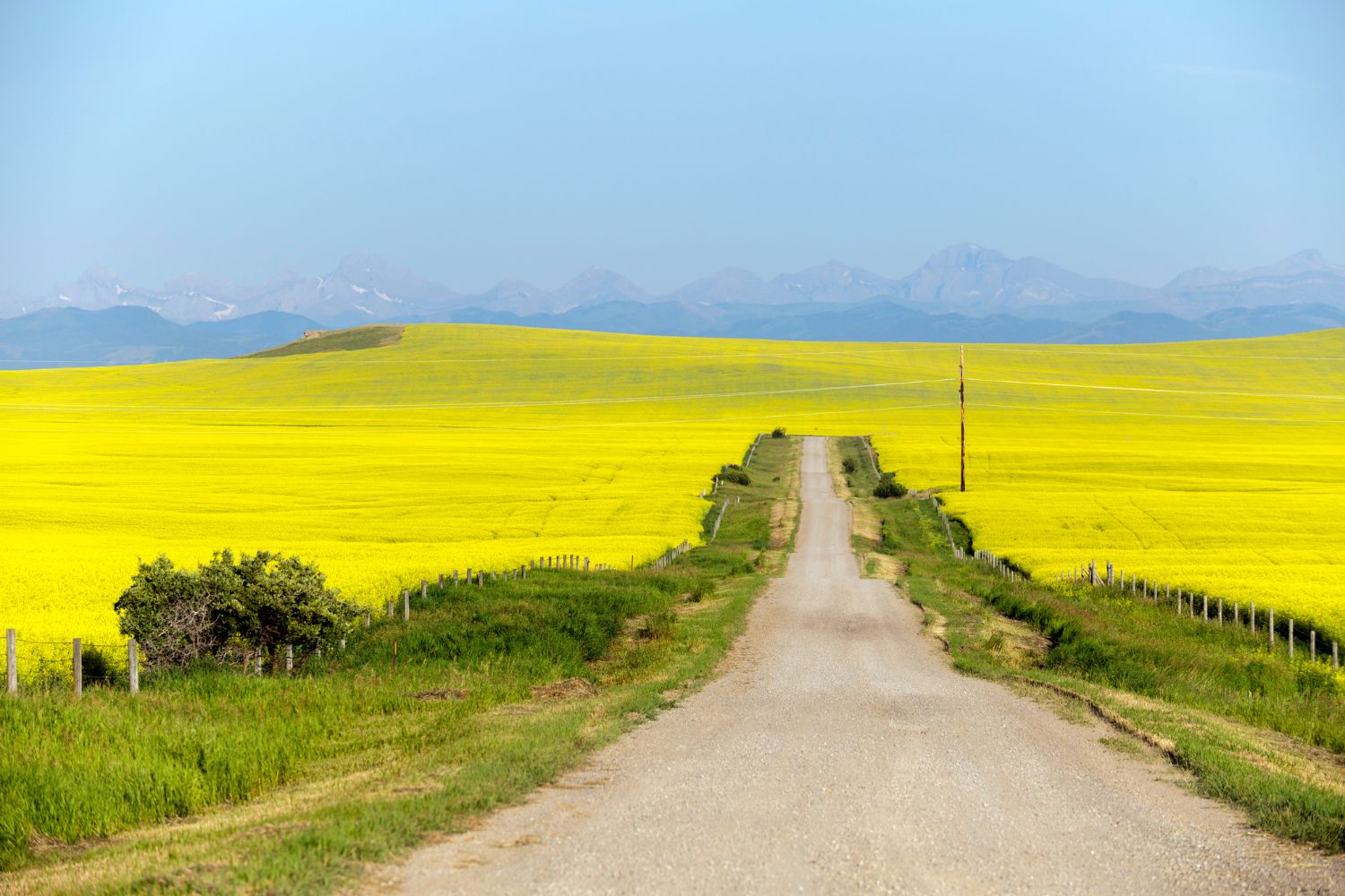 Pincher Creek - small towns in Alberta