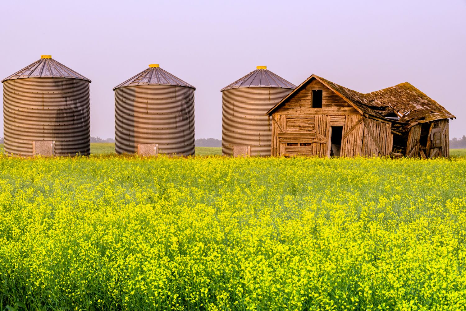 24 BEST Small Towns in Alberta