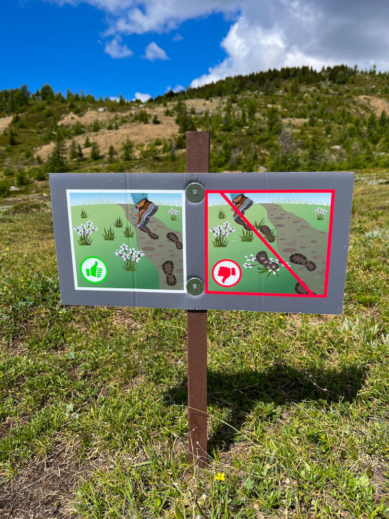 Stay on the trail when hiking at Sunshine Meadows