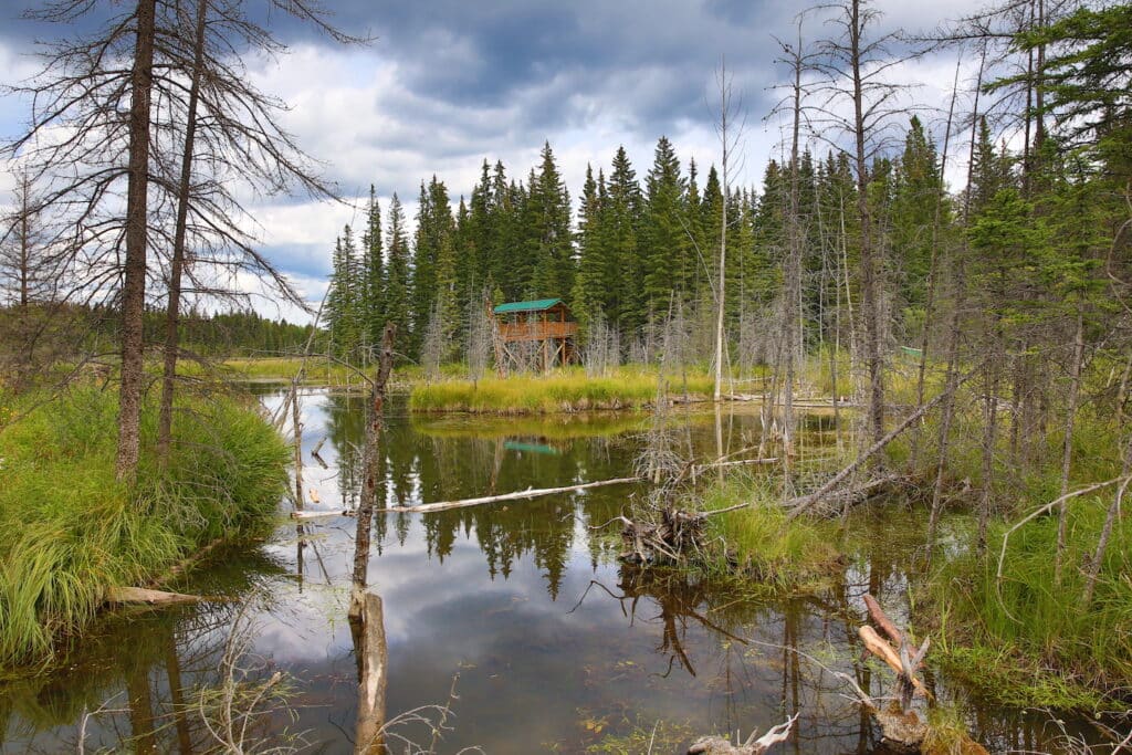 - small towns in Alberta