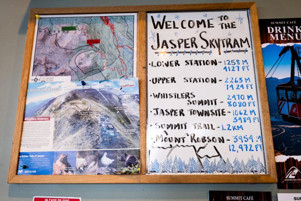 Is the Jasper Skytram Pet Friendly?