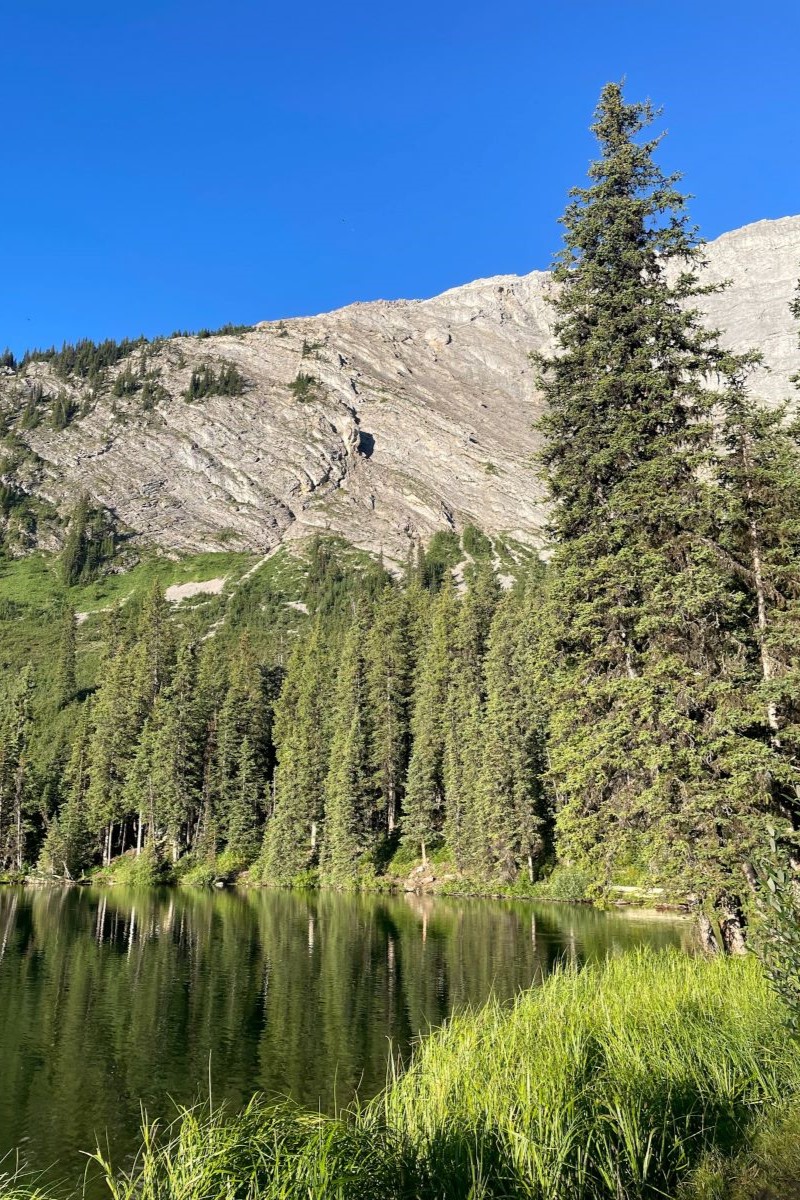 Far shoreline of Lillian Lake with many pine trees and cliff face