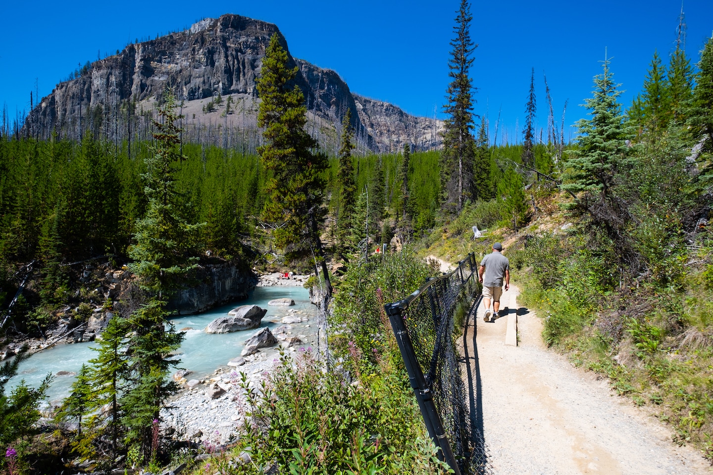 Marble canyon hike outlet kootenay national park