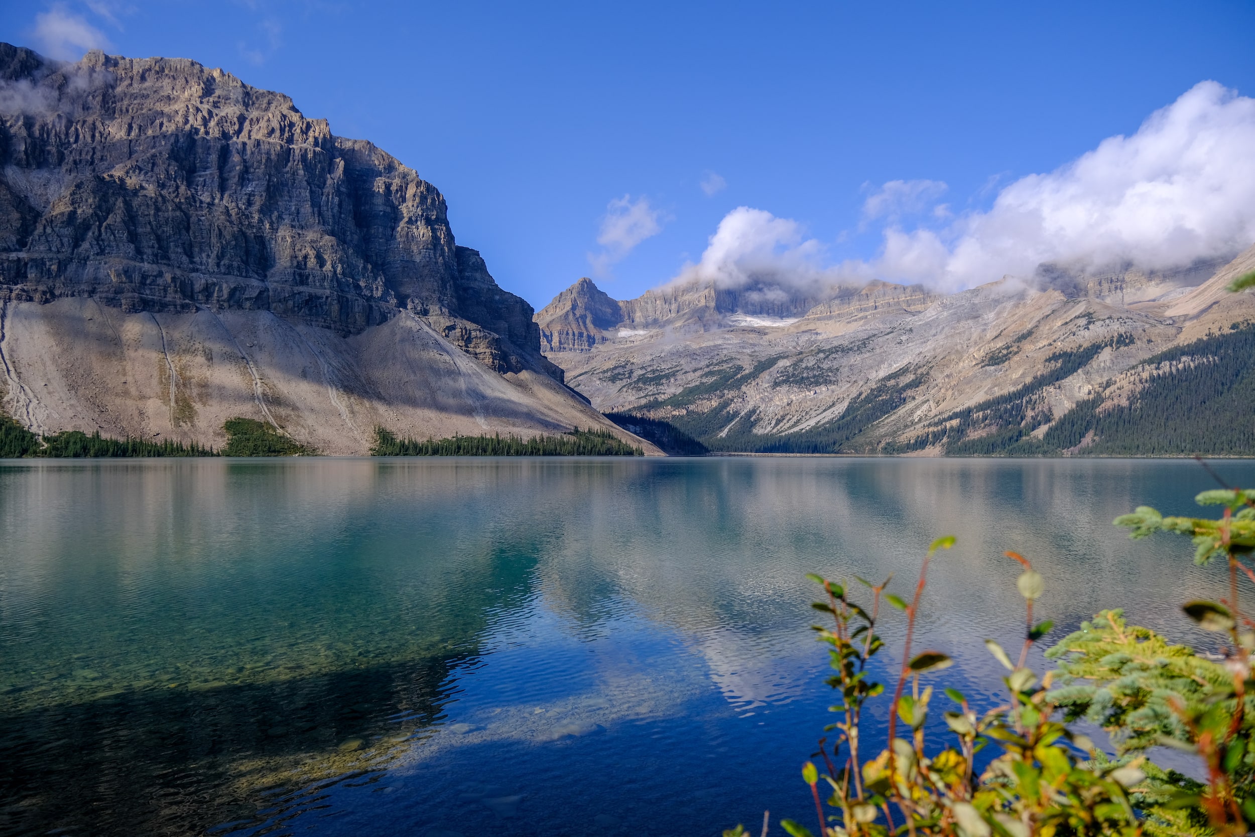 Bow Lake Morning Light On Icefields Parkway