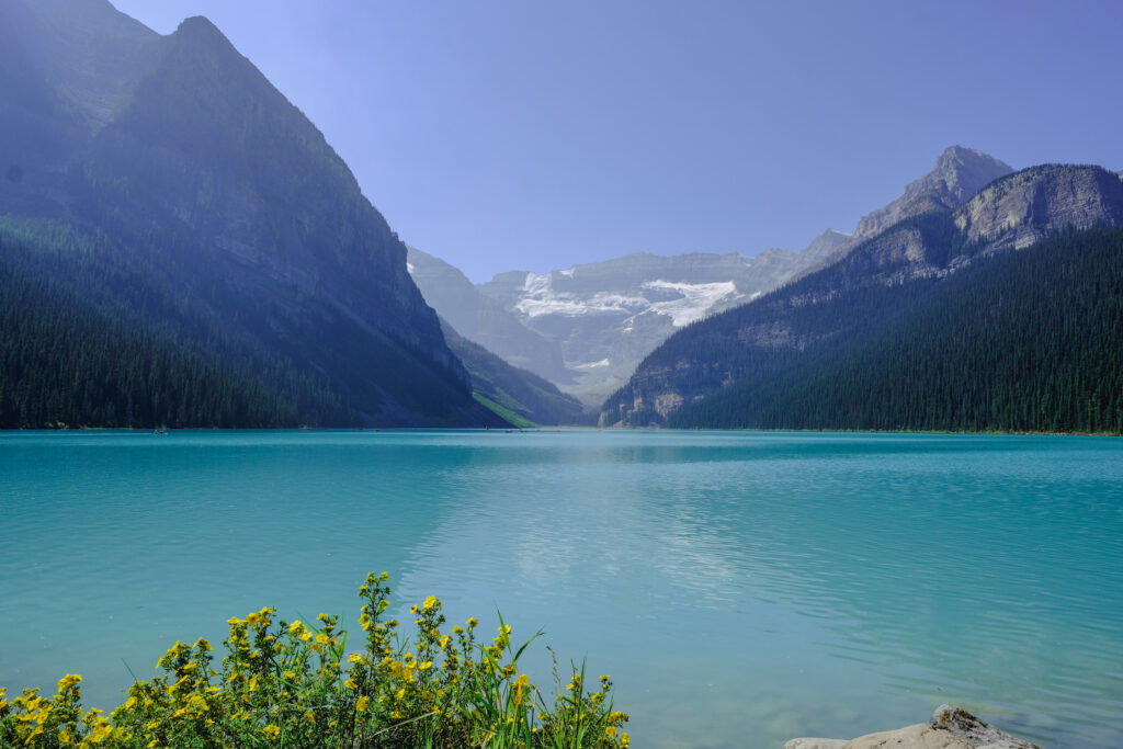 Lake Louise Landscape With Flowers In Foreground Summer