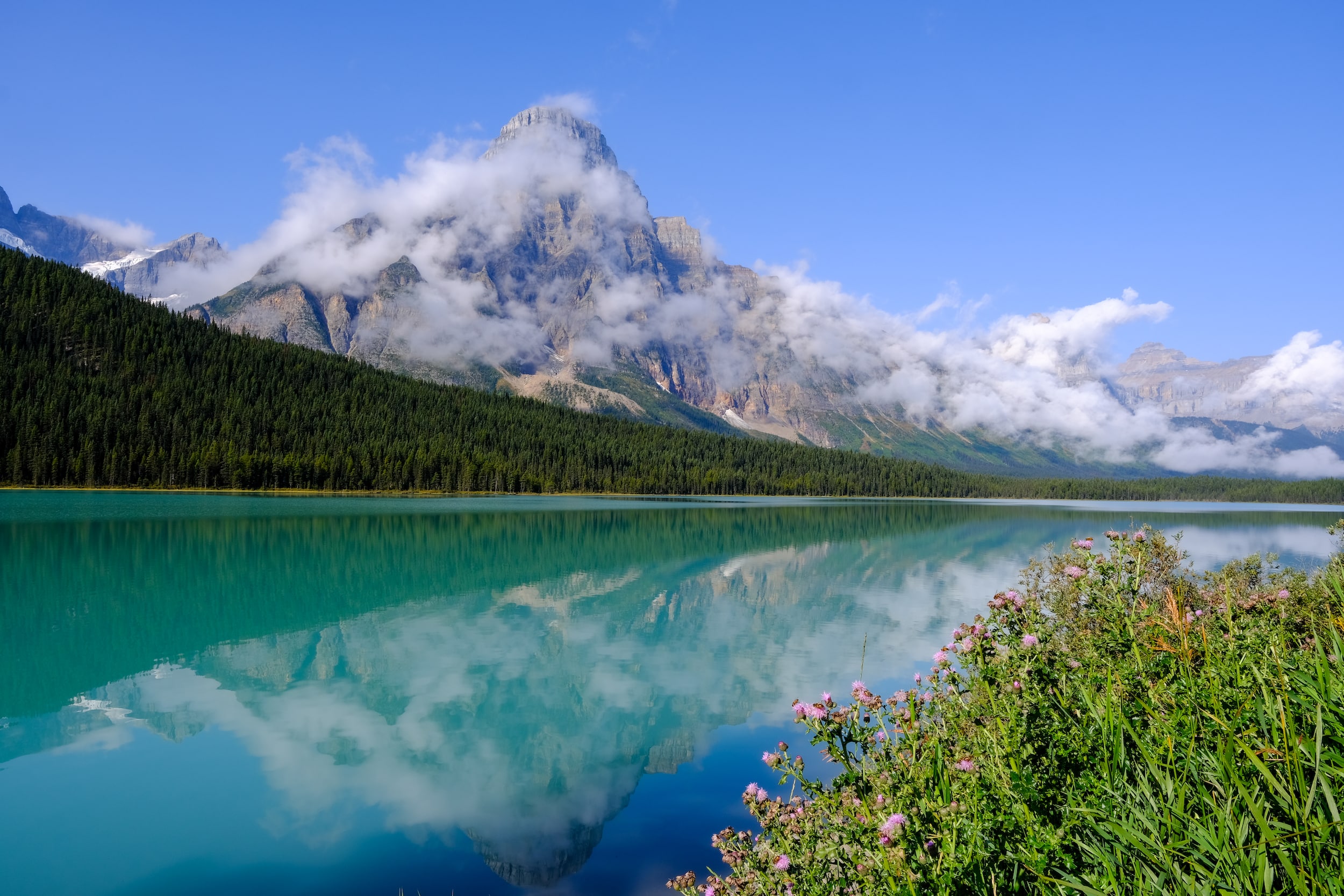 Waterfowl Lakes Landscape