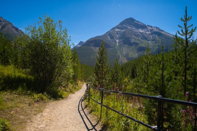 marble-canyon-in-kootenay-national-park