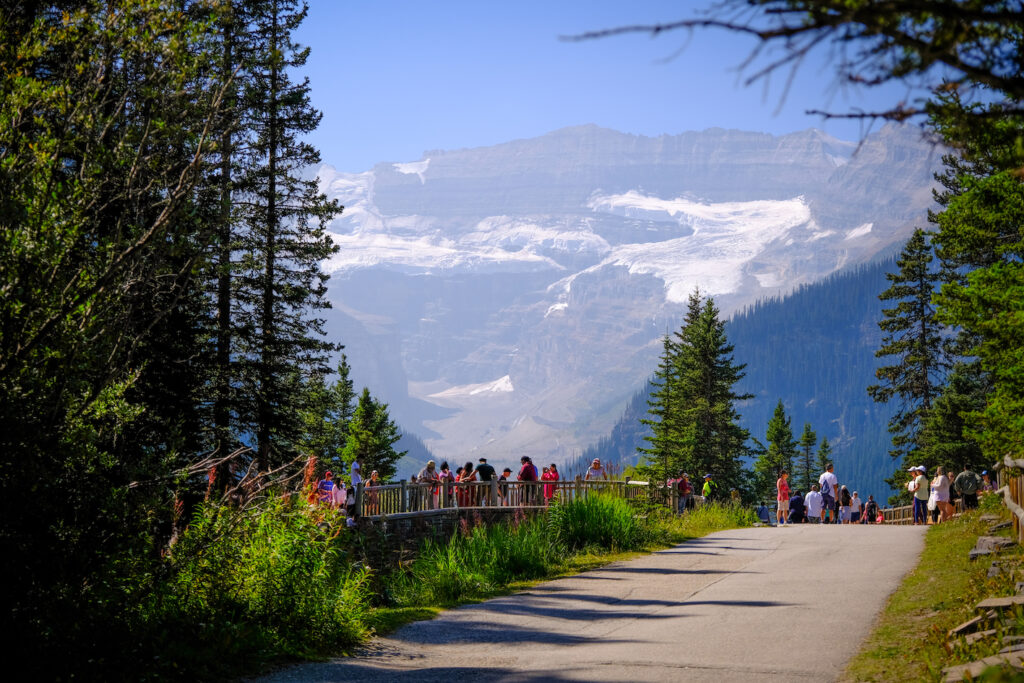 How Do You Get to Lake Louise? Can You Drive?