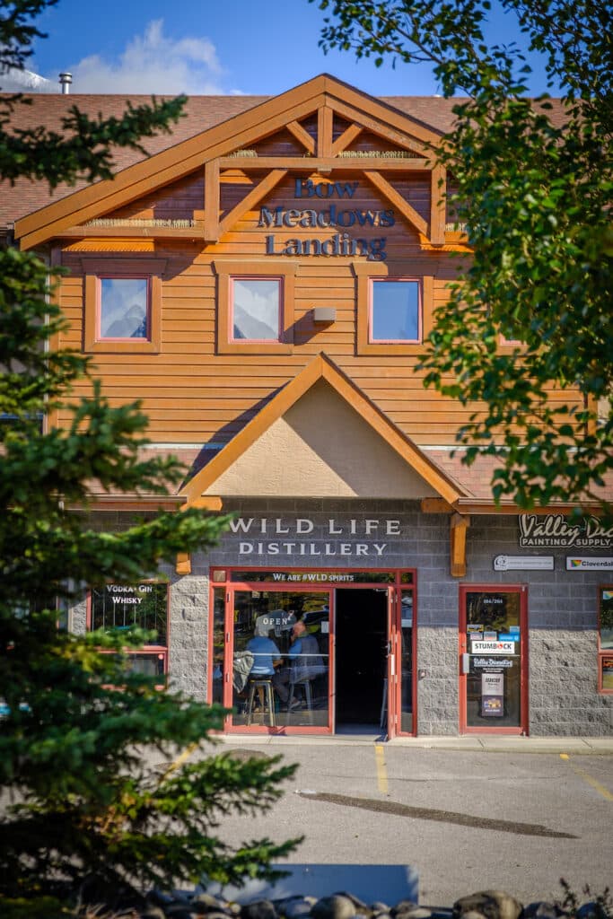 The BEST Canmore Breweries to Have a Drink At